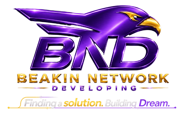 Beakin Network Developing LLC logo